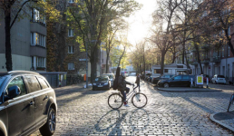 Straße (Kopfsteinpflaster) mit geparkten Autos, einer radfahrenden Person und Bäumen