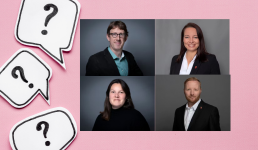 Fotos der Bezirksstadträt*innen