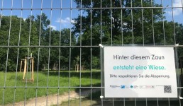 Baustellenzaun vor einer Wiese mit Bäumen