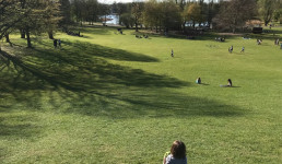 Foto von Liegewiese im Britzer Garten