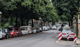 Straße mit parkenden Autos und Bäumen