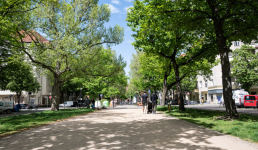 eine von Bäumen gesäumte Promenade auf der zwei Menschen einen Kinderwagen schie