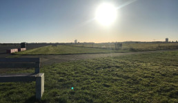 Grüne Wiese am Morgen mit aufgehender Sonne