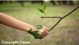 Logo Null Müll (blauer Hintergrund und weiße Schrift)