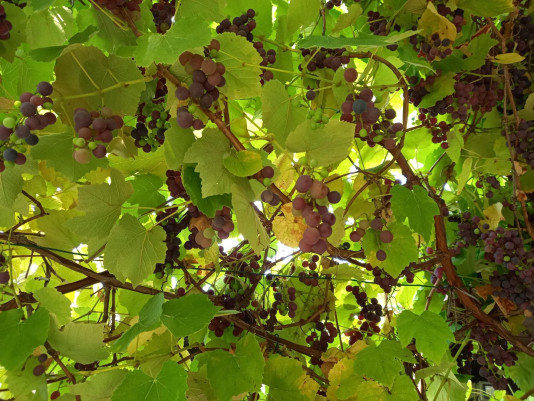 braune Sonnenbrille auf einem Holztisch hinter einem Kasten auf dem "Raum für Beteiligung" steht